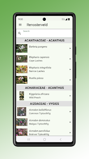 Field Guide to Renosterveld Screen 3
