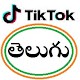 Namaskar - Telugu Video Status, Telugu Chat, SA Install on Windows