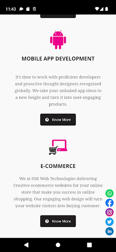 SSK Web Technologies Screen 3