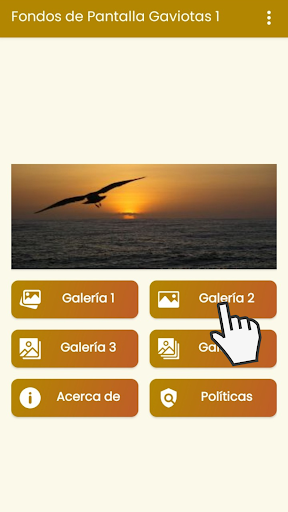Fondos de Pantalla Gaviotas 1. Screen 3