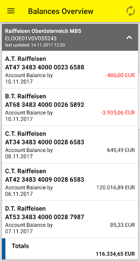 Raiffeisen Business Banking Screen 2