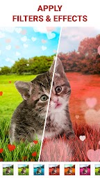 Love Collage - Photo Editor