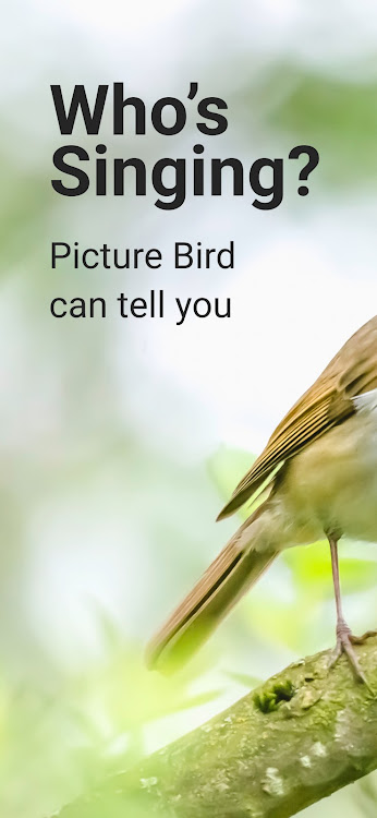 Picture Bird - Bird Identifier - 2.9.26 - (Android)