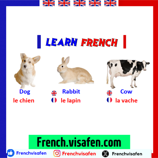 Learn French - Français Screen 3