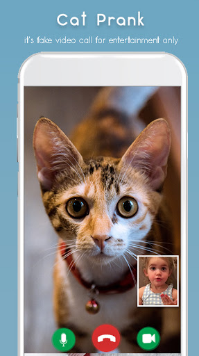 Cat Video Call Prank- Cat Game Screen 2