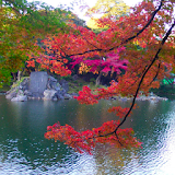 Japan: Kourakuen_Autumn leaves icon