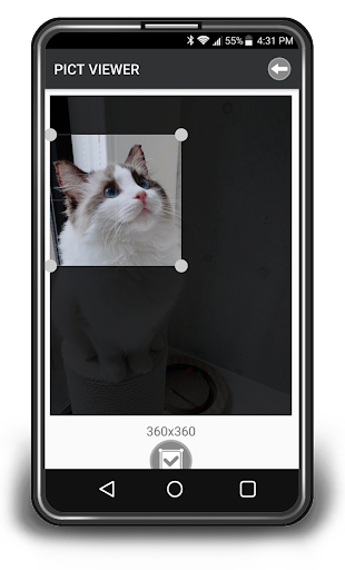 PICT VIEWER for WEAR Screen 2
