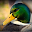 Waterfowl Calls Download on Windows