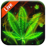 ⭐Weed & Marijuana Wallpapers and Backgrounds⭐ icon