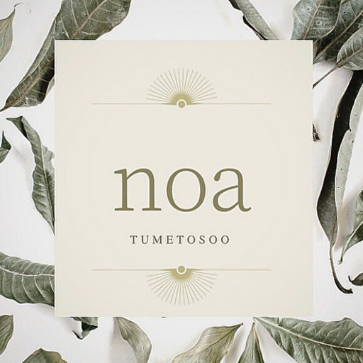爪塗装nailsalon noa 公式アプリ logo