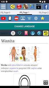 Anatomi Wanita