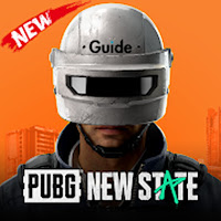 Guide for PUBG NEW STATE