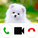 Cover Image of ダウンロード Pomeranian Dog Video Call Simu  APK