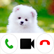 Pomeranian Dog Video Call Simu