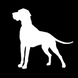 White Dog Studio icon