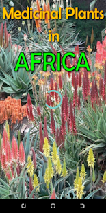 Medicinal Plants in Africa
