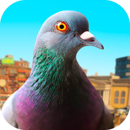 Pigeon 13 Icon