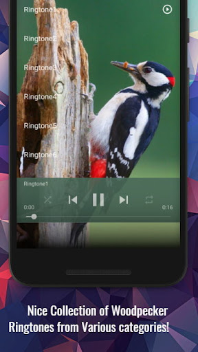 Woodpecker Sounds Screen 2