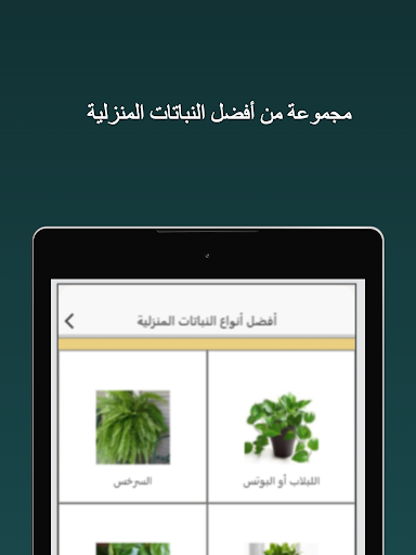 النباتات المنزلية والعناية بها