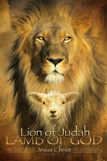 Android application Bible Verses - Daily Bible Ver screenshort
