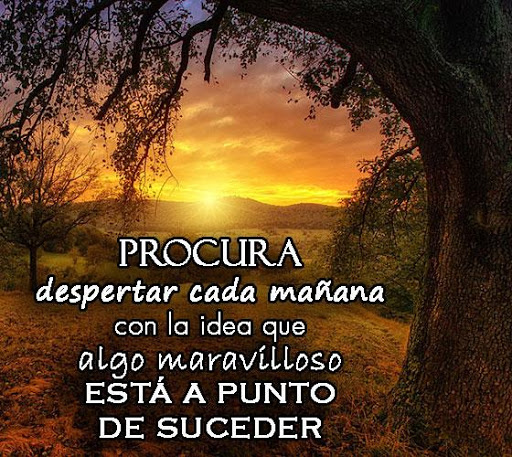 Lindas Reflexiones Positivas By Alexdev Apps Google Play United States Searchman App Data Information