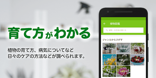 Greensnap 植物 花の名前が判る写真共有アプリ Google Play のアプリ