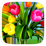 Colorful Tulip Theme icon