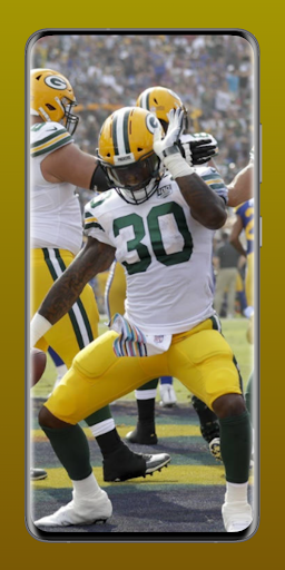 Green Bay Packers Fans