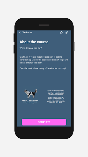 Canine Conditioning Screen 2