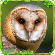 Top 30 Simulation Apps Like Furious Owl Simulator - Best Alternatives