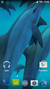 Dolphins. Live Video Wallpaper