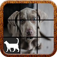 Dog Slide Puzzle