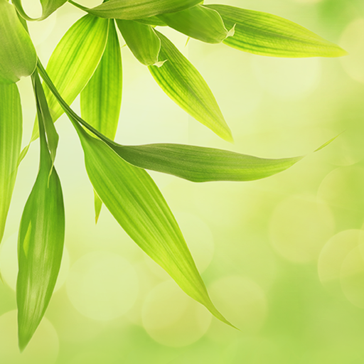 Relaxation logo