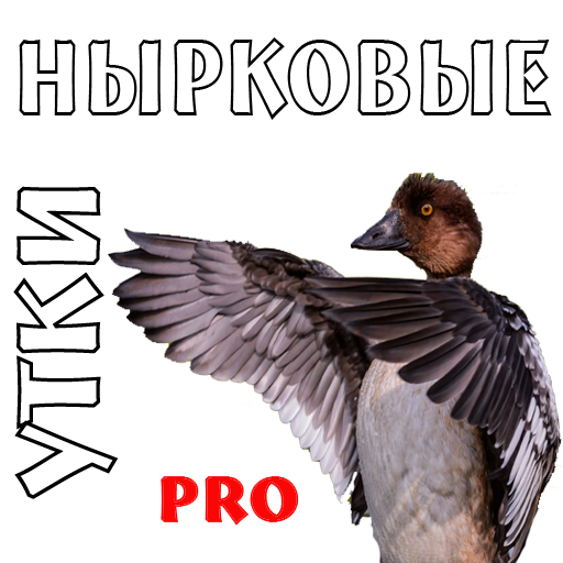 Манок на уток (нырковые) PRO 1.0 Icon