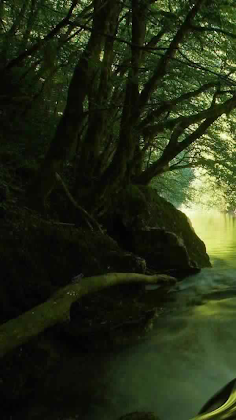 Find The Frog - Screenshot 4