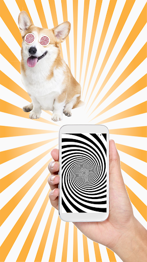 Dog Translator Screen 3