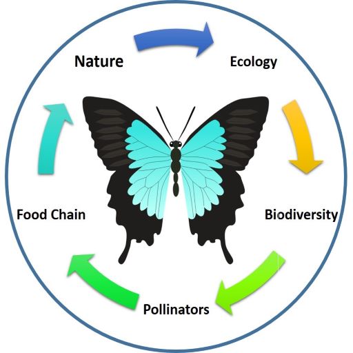 I Am Butterfly logo