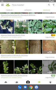 PlantNet Identifica Plantas Screenshot