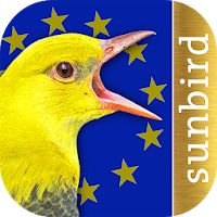 BIRD SONGS Europe, North Africa + Middle East