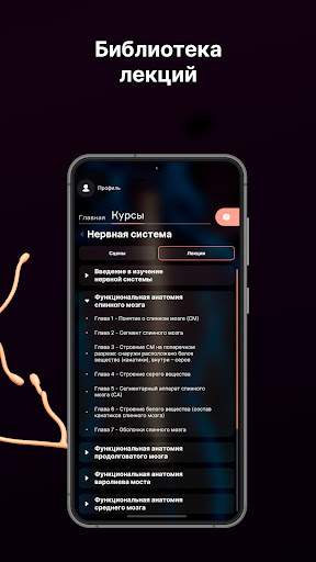 SYSTEMA: Anatomy atlas Screen 3