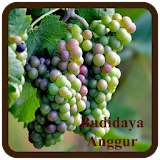 Budidaya Anggur icon
