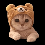 Cover Image of Tải xuống Cat Stickers for WA - Sticker 1.8 APK