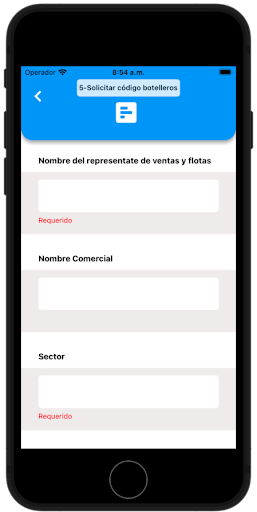 Bis Formulario Screen 3