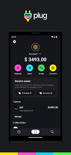 Plug - Crypto Wallet 1