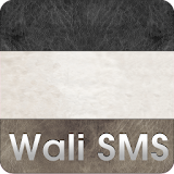 Wali SMS Theme: Leather Feel icon