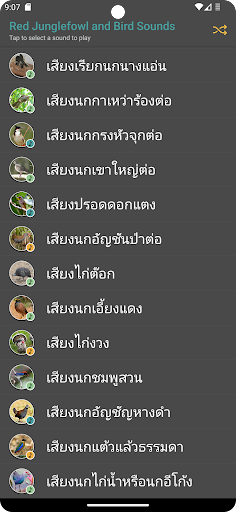 Red Junglefowl and Bird Sounds Screen 2