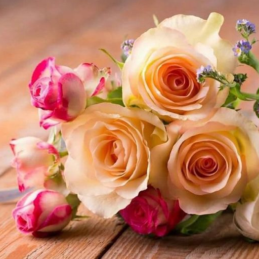 Beautiful Flowers & Roses Pics  Icon