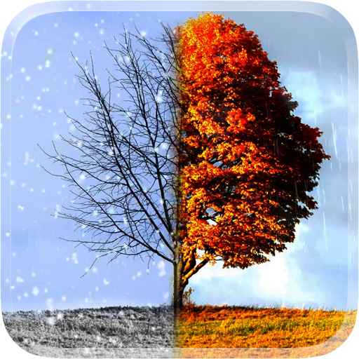 Winter and Autumn 3D Wallpaper 2.0 Icon
