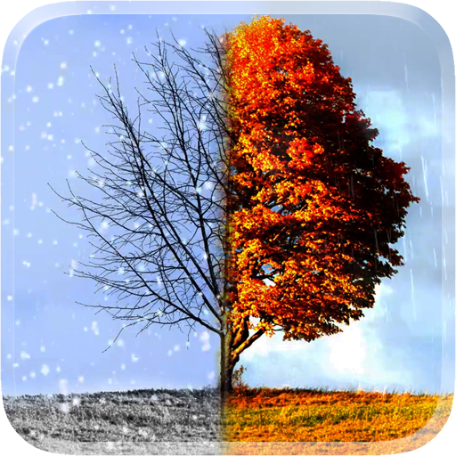 Winter and Autumn 3D Wallpaper logo