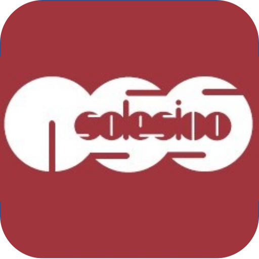 Aesse Solesino logo